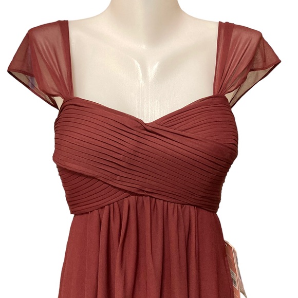 LAST CHANCE Birdy Grey Maria mesh Cabernet bridesmaid prom formal maxi dress  S - Picture 5 of 8